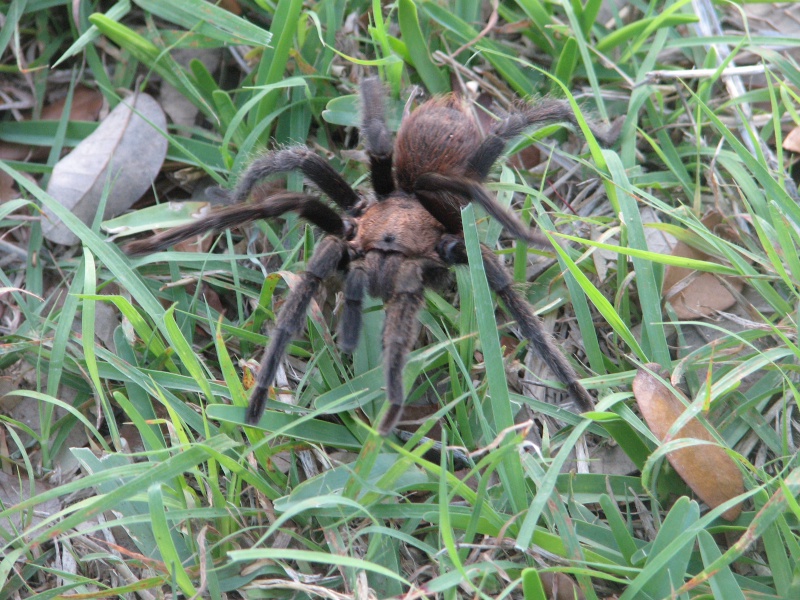 20100206 123.JPG